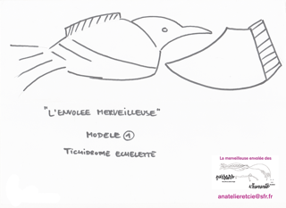 modele-oiseau-tichodrome A4.png
